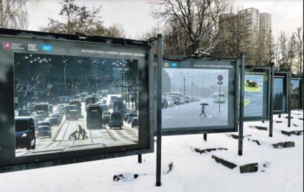 Фото: Ольга Чумаченко