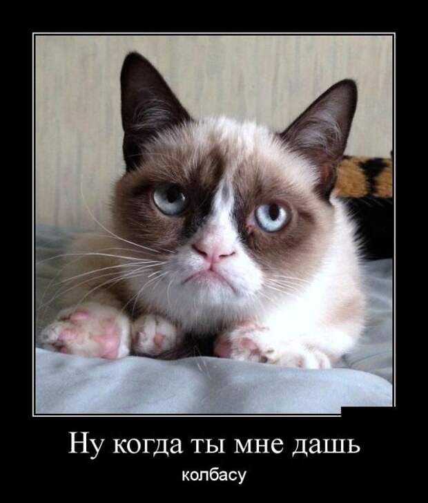 Демотиваторы Демотиваторы