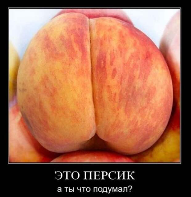Демотиваторы смешные про нашу русскую реальность.