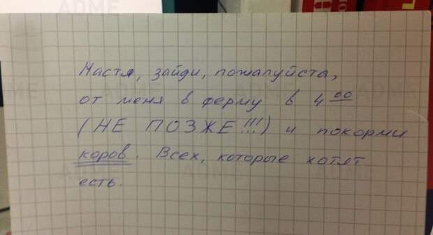 Записки, наполненные родительской любовью родители, прикол, записки