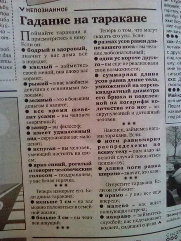 15 адских народных советов, от которых волосы становятся дыбом Дурацкие, советы, юмор