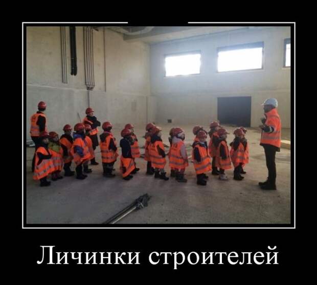 Личинки строителей демотиватор, юмор