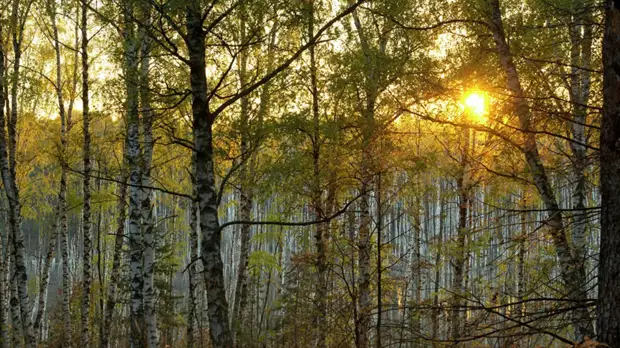 В Гидрометцентре рассказали о погоде в центральной части России на следующей неделе