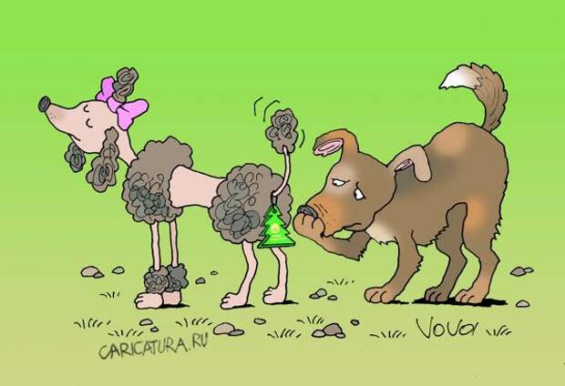 Смешные карикатуры