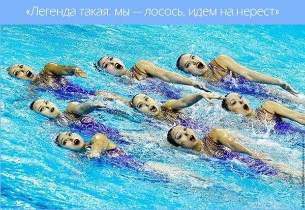 Эти забавные синхронистки  вода, синхронистки, спорт, юмор
