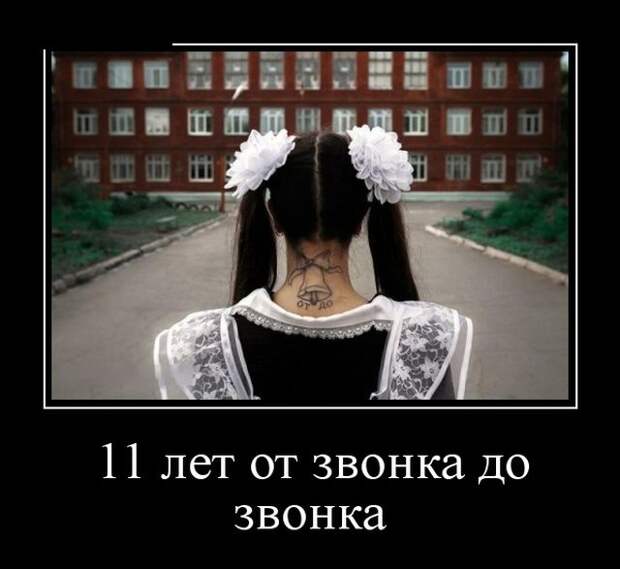 Свежие и веселые демотиваторы для поднятия настроения (10 фото)