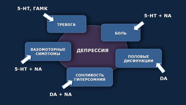 Нейромедиаторные системы