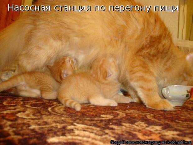 Мысли вслух :)