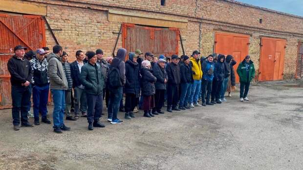 На птицефабрике в Красноярском крае полицейские выявили 20 мигрантов-нелегалов