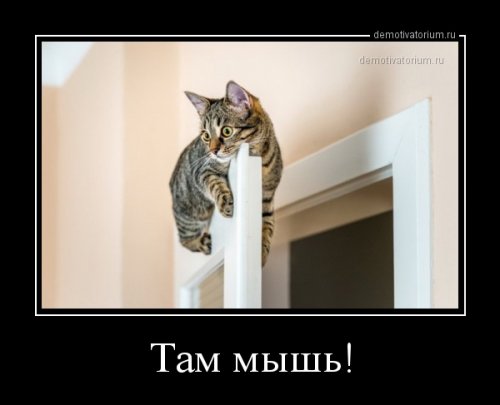 Свежие прикольные демотиваторы (27 шт)