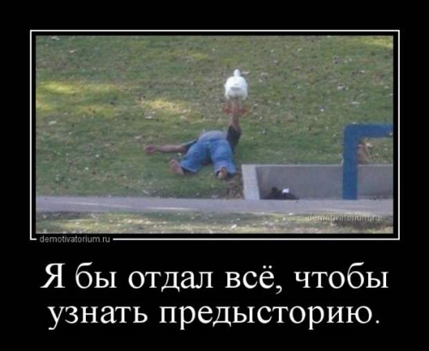 Свежие демотиваторы (16 шт)