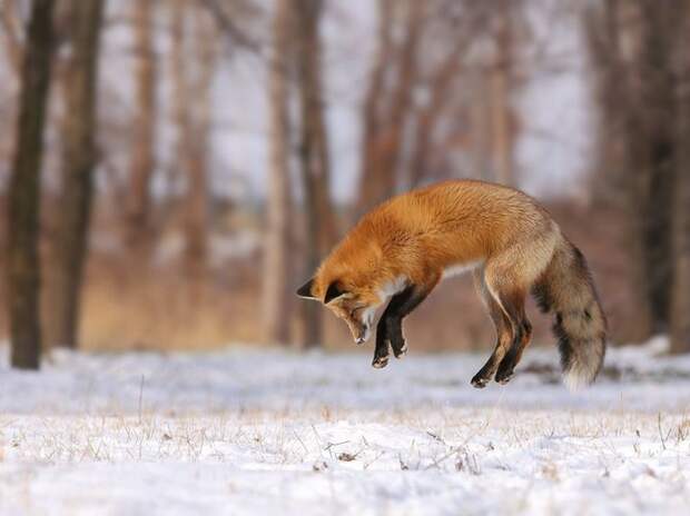 National Geographic