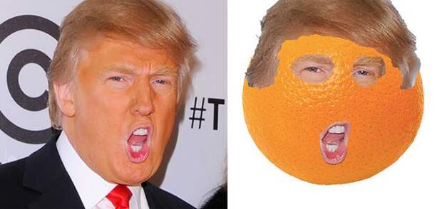 15 вещей, похожих на Дональда Трампа
