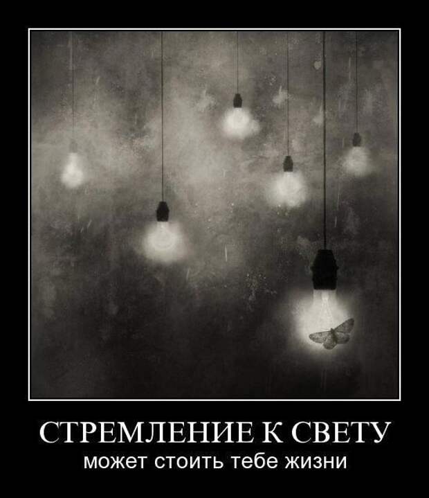 Демотиваторы (30 фото)