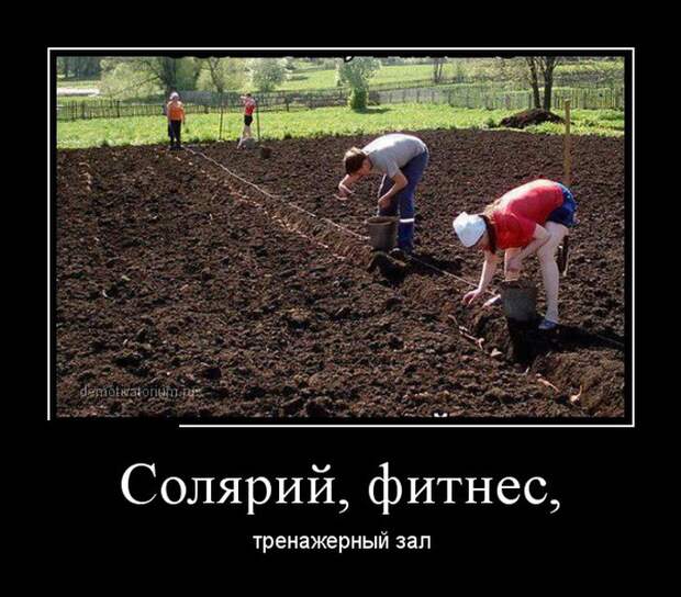 Демотиваторы (30 фото) Демотиваторы (30 фото)