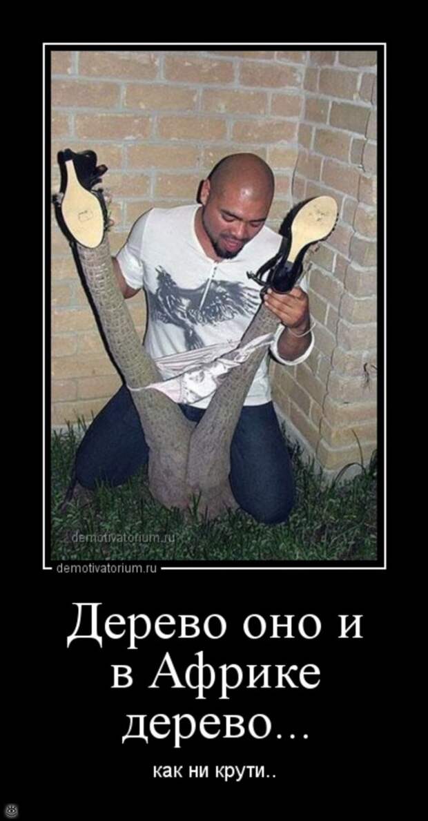 Мотиваторно-демотиваторная подборка 12
