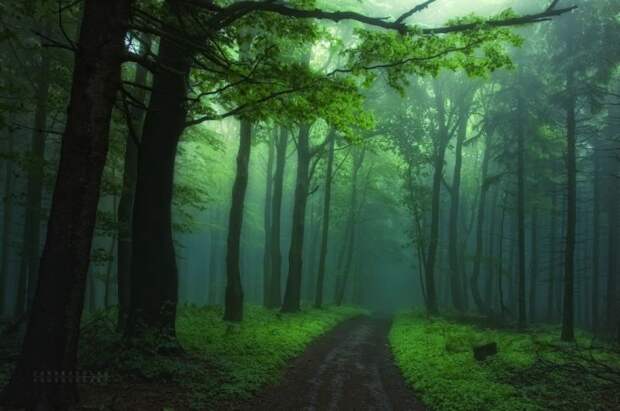 Красивые фотографии чешского фотографа Janek Sedlar
