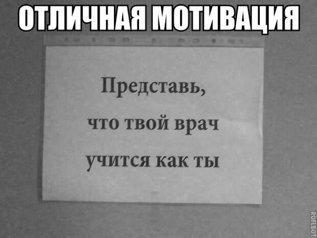 Смешные картинки с надписями прикол, юмор