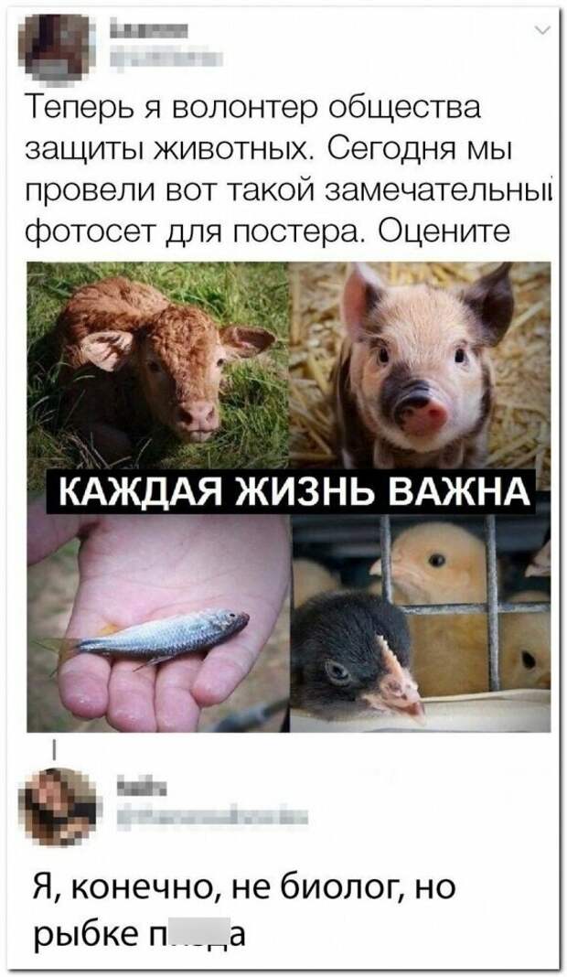 А как красиво сказал А как красиво сказал комментарии, остряки, перлы, пользователи, прикол, смешно, соцсети, юмор