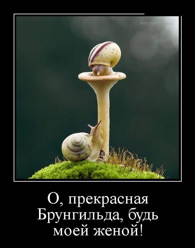 Демотиваторы (30 фото)