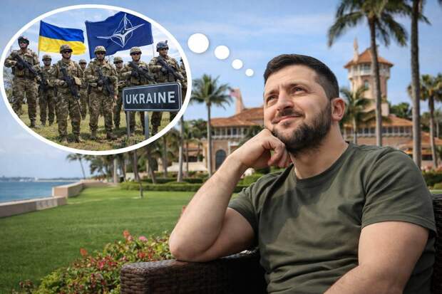 (Сальные?) Мечты Зеленского после встречи с Трампом