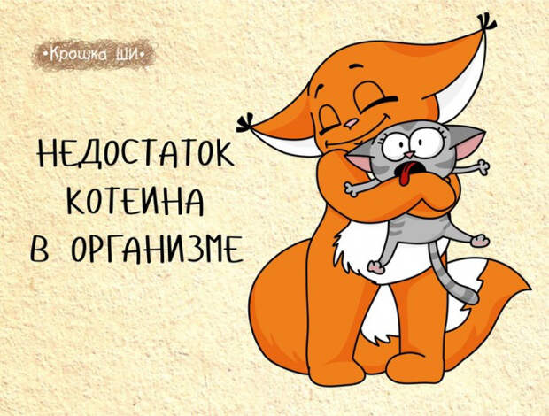 мир глазами белки, Крошка Ши 