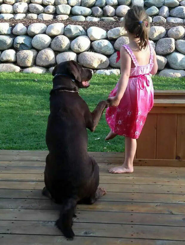 How I Found My Daughter And Our Lab On The Deck