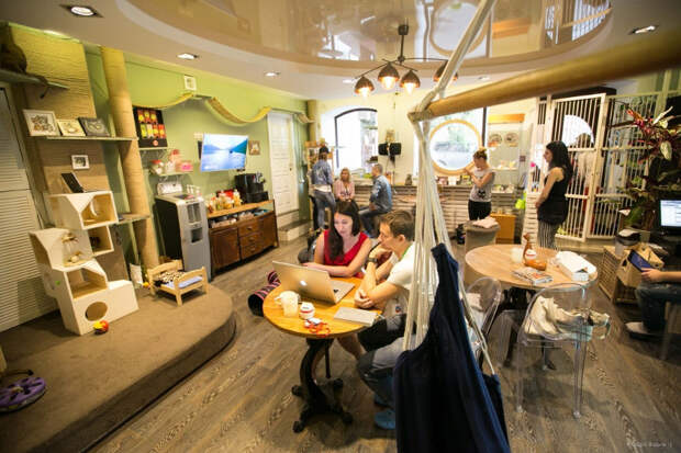 kafe1
