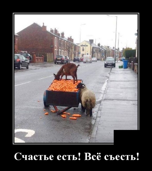 Демотиваторы 18 декабря 2020