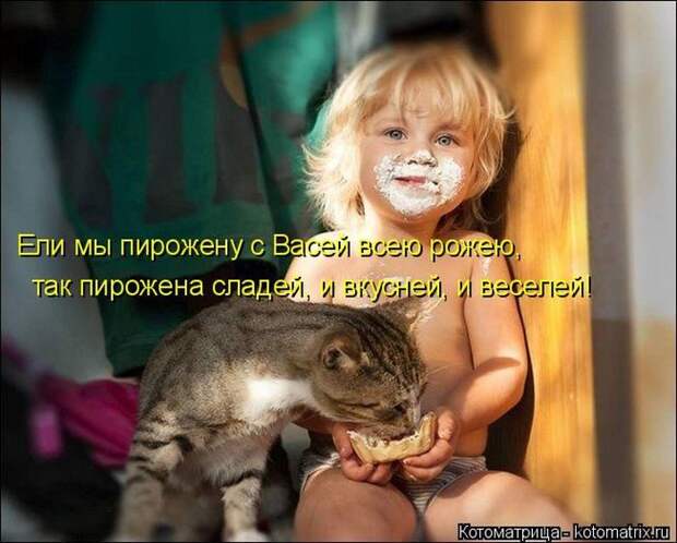Лучшие котоматрицы недели