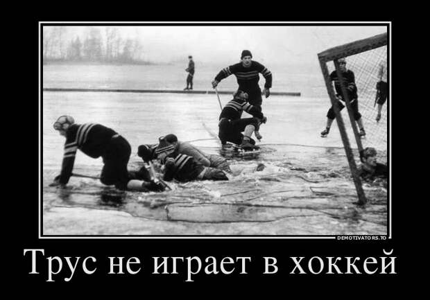 Демотиваторы бревно, демотиваторы, юмор
