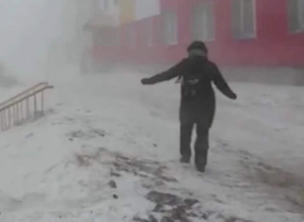 В Сети появились кадры снежного апокалипсиса в Анадыре