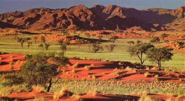 безвизовые страны