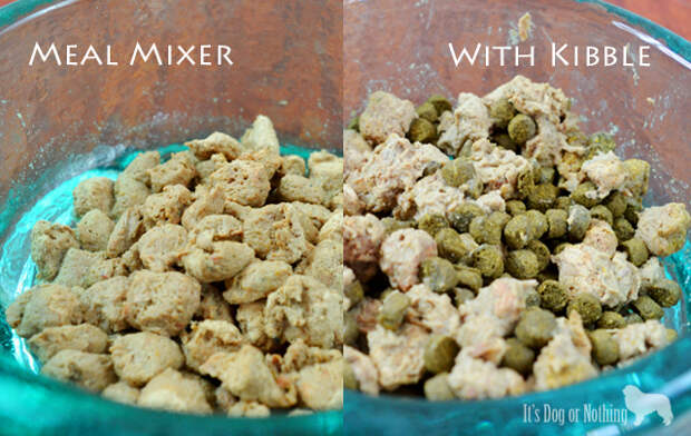 Need a healthy, yet delicious way to mix up your dog's meals? Try Stella & Chewy's Meal Mixers for a nutritional boost!