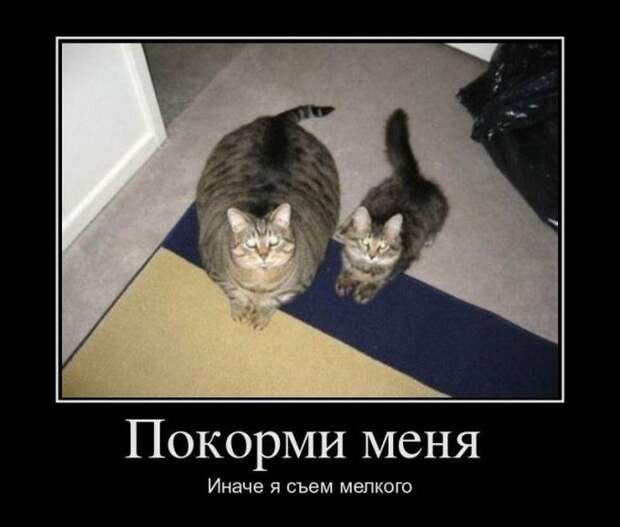 Демотиваторы (30 фото)