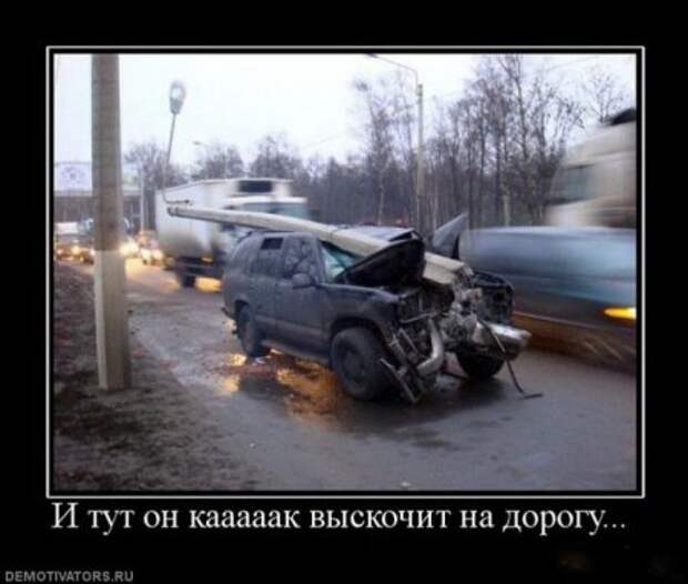 Cвежие демотиваторы