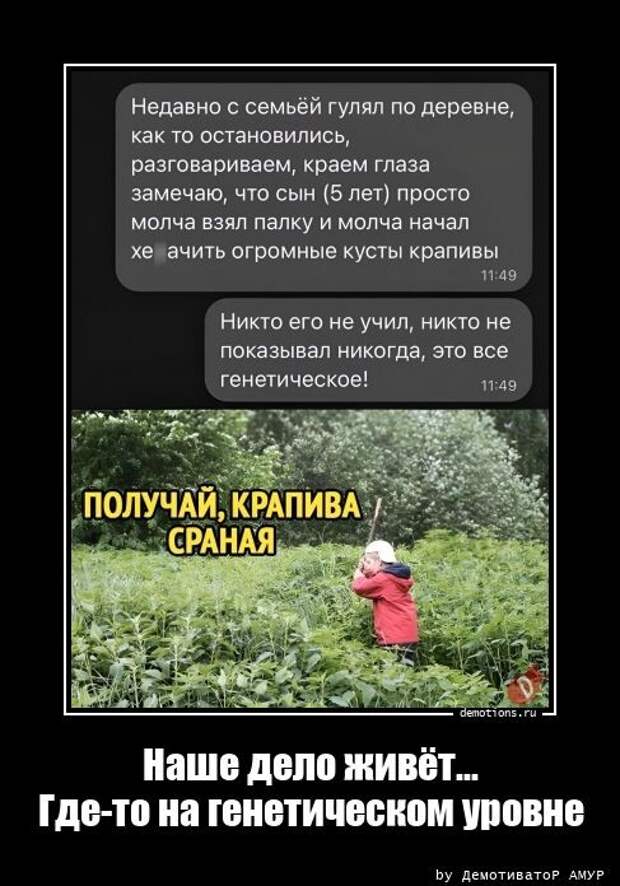 Демотиваторы дня (23 фото)