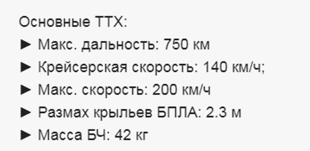 При уменьшении боевой части могут летать до 1000 км.