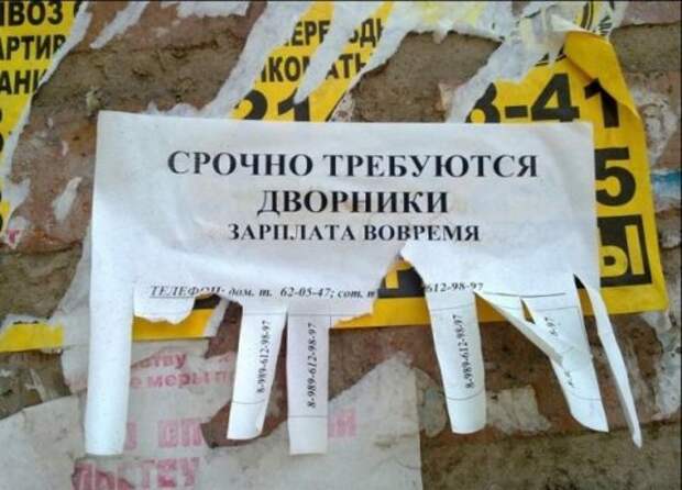 Смешные объявления, вывески и реклама (18 фото)