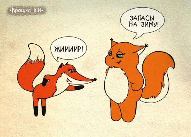 мир глазами белки, Крошка Ши 