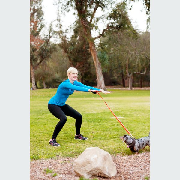 Your Dog 