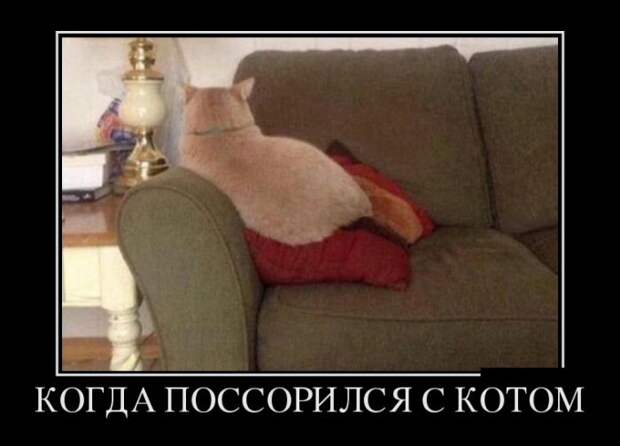 Демотиваторы Демотиваторы