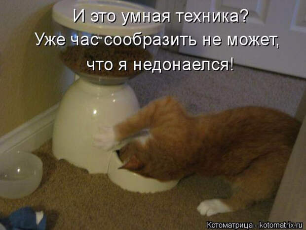 1433454576_41 (700x526, 222Kb)
