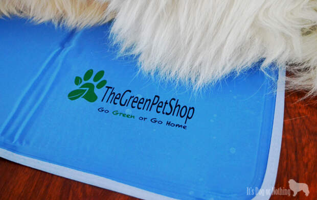 The Green Pet Shop - Cool Pet Pad