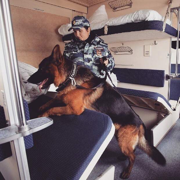Российская полиция в снимках Instagram