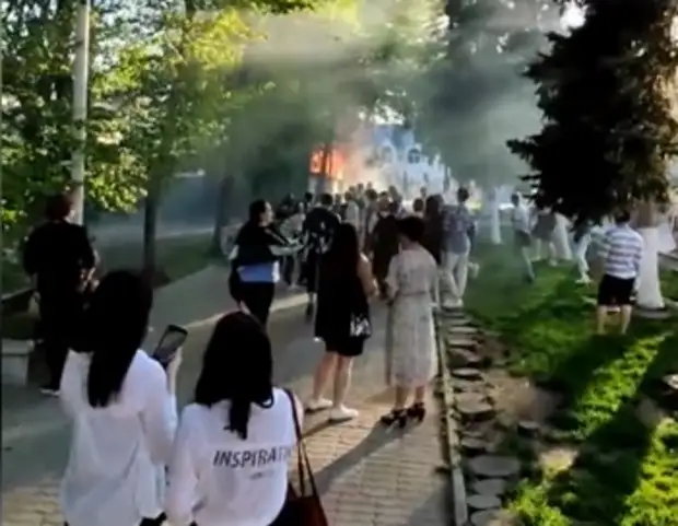 Пожар в парке Горького напугал ростовчан