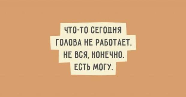 Искрометный юмор в забавных высказываниях (20 картинок)