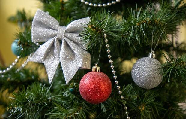 Врач предупредила туляков об опасности застоявшейся в квартире новогодней елки