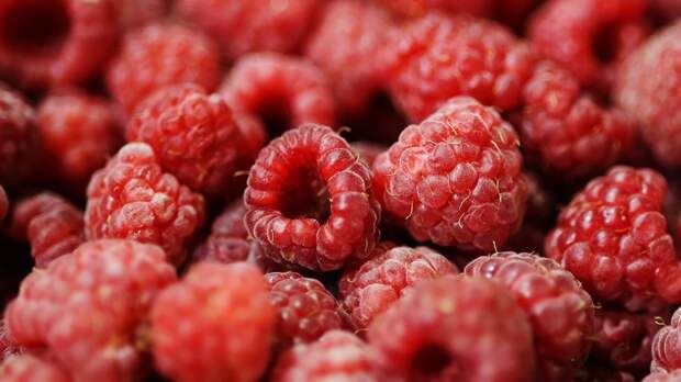 Секреты выращивания малины: как добиться щедрого урожая без лишних усилий