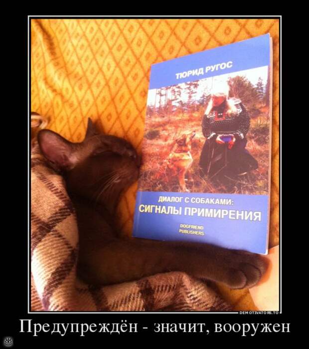 Действуй не по инструкции! 17
